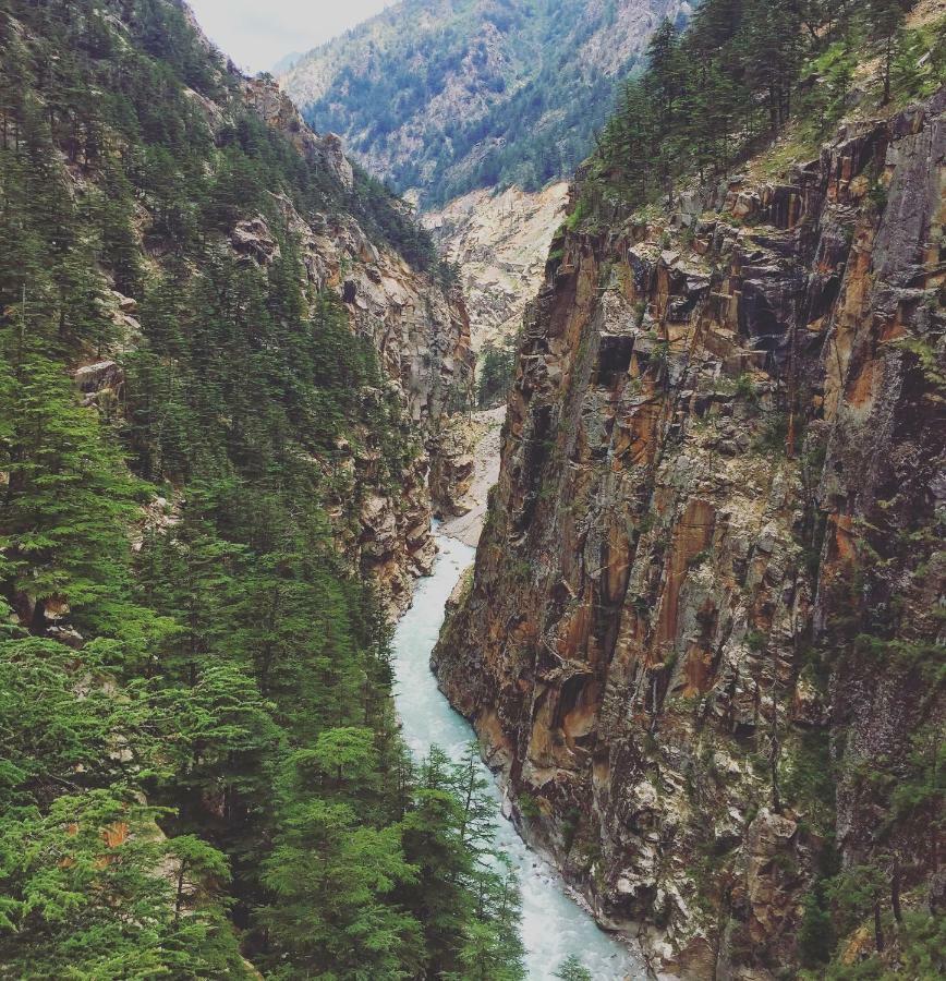 Hill Dew Uttarkashi